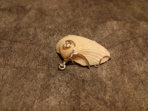 Mušle v drátu/wire wrapping — foto 3