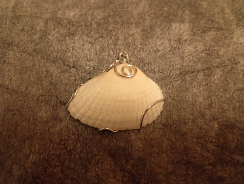 Mušle v drátu/wire wrapping — foto 2