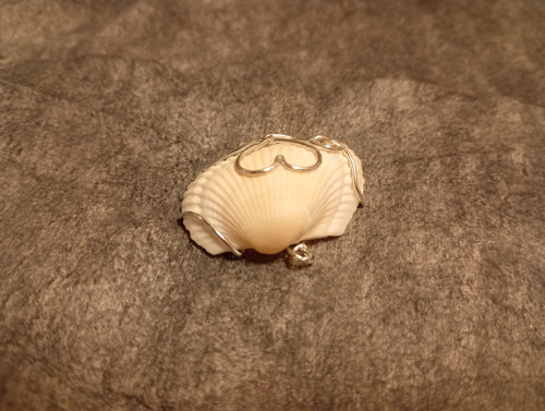 Mušle v drátu/wire wrapping — foto 3