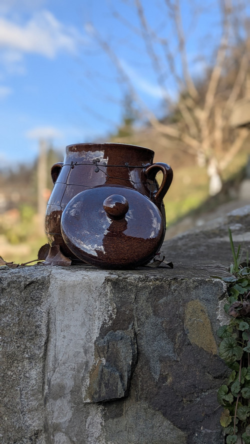 Odrátovaný sádlák — foto 2