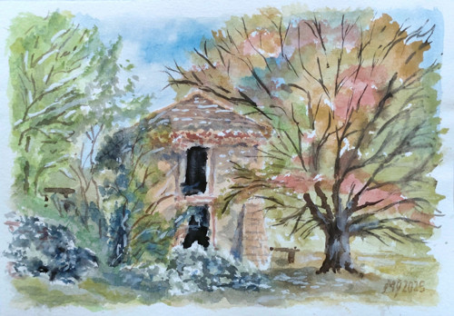 Podzimní tajemství — foto 2