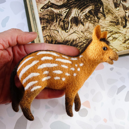 Hyracotherium - Kůň úsvitu dějin — foto 4