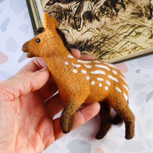 Hyracotherium - Kůň úsvitu dějin — foto 3