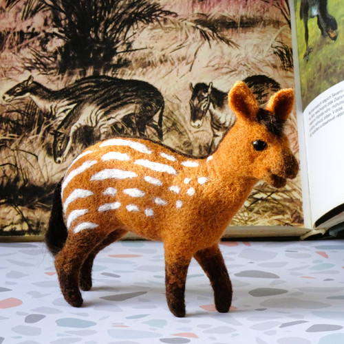Hyracotherium - Kůň úsvitu dějin — foto 2