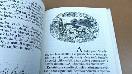 Broučci — foto 3