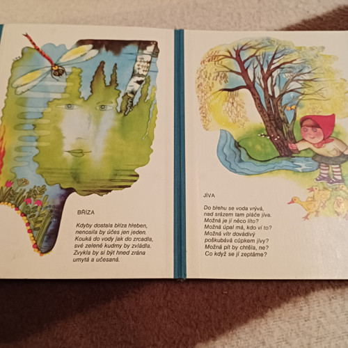 Jak žijí stromy - leporelo — foto 2