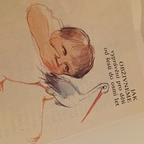 Jak jsme přišli na svět — foto 2