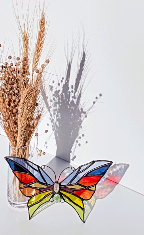 Rainbow butterfly — foto 5