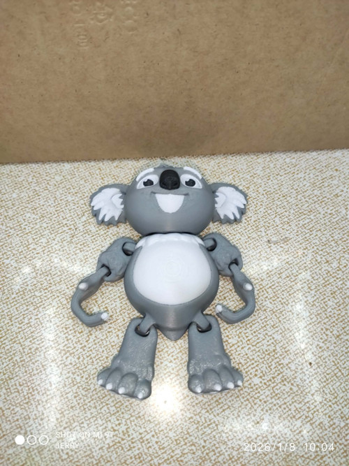 Koala — foto 3