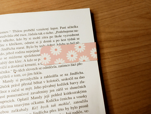 931 - Magnetická záložka - kočičky — foto 4