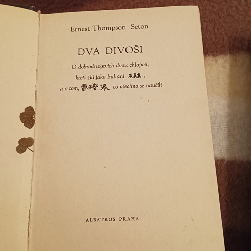 E. T. Seton - Dva divoši — foto 3