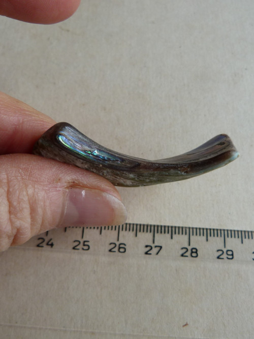 Perleť Paua - 5 cm (P10) — foto 5