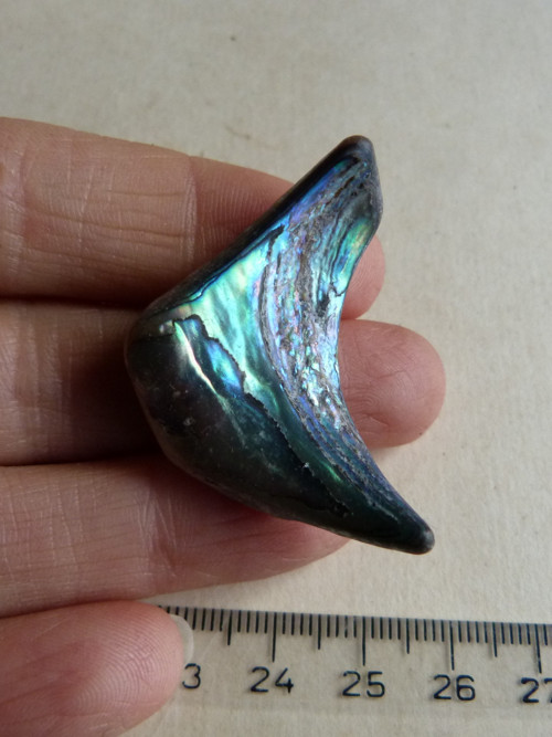 Perleť mušle Paua - 4,1 cm (P12) — foto 5