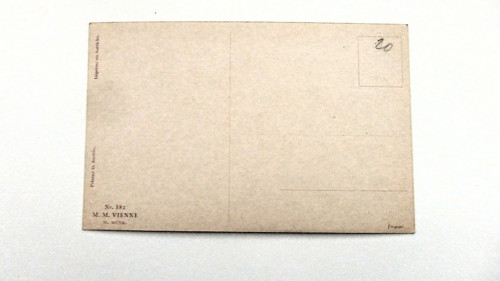 Žlutý klobouček — foto 3