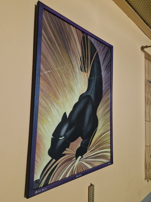 Puma — foto 2
