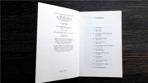 B329_ Modern Short Stories, 1992 — foto 2