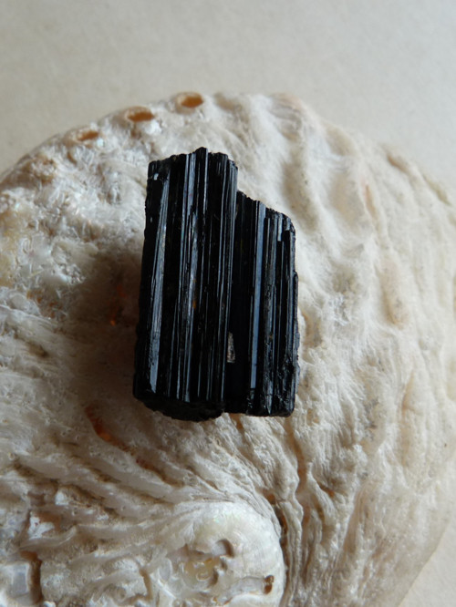 Skoryl - černý turmalín - 3,2 cm (S2) — foto 4