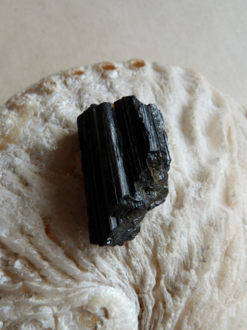 Skoryl - černý turmalín - 3,2 cm (S2) — foto 5