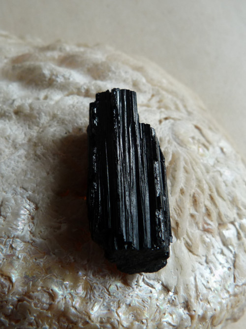 Skoryl - černý turmalín - 3,2 cm (S5) — foto 4