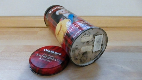 Walkers — foto 4