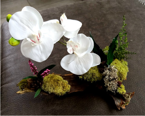 Tam kde roste orchidej — foto 2
