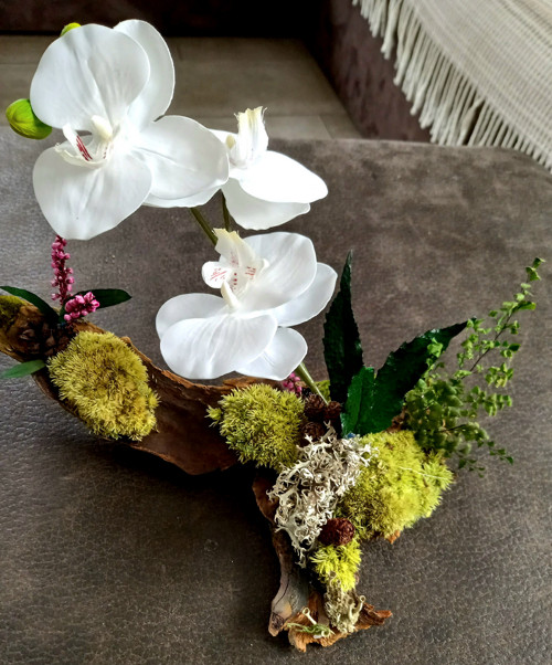 Tam kde roste orchidej — foto 3