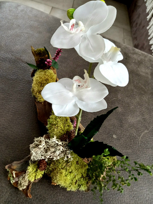 Tam kde roste orchidej — foto 6