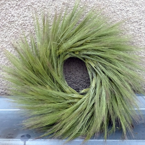 Věnec - Ječmínek — foto 2