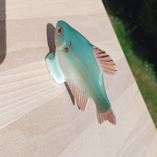 Porcelánová rybička — foto 2