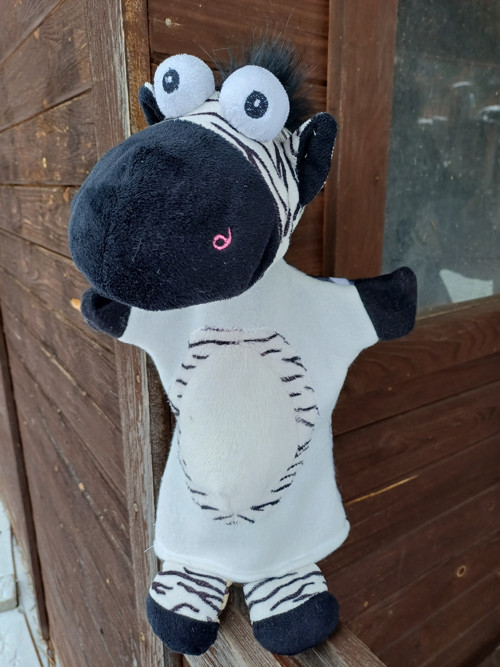 Zebra — foto 2
