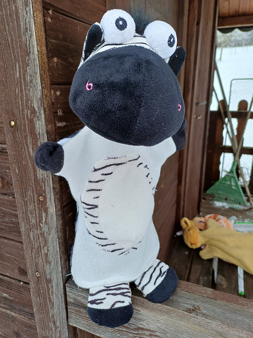 Zebra — foto 3