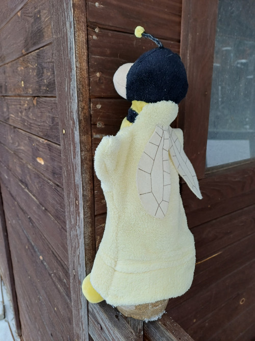 Včelka medonosná — foto 2