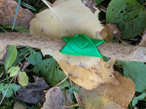 Tmavší lístek — foto 2