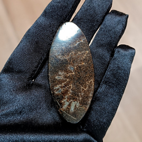 Amonitový Simbircit, ID 5421, 62x27 mm — foto 3