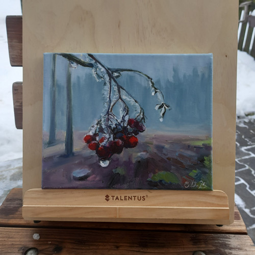 Jarabina v ledu — foto 2
