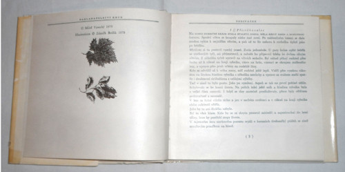 Miloš Vysocký: ŠEDIVÁČEK, 1979 — foto 3