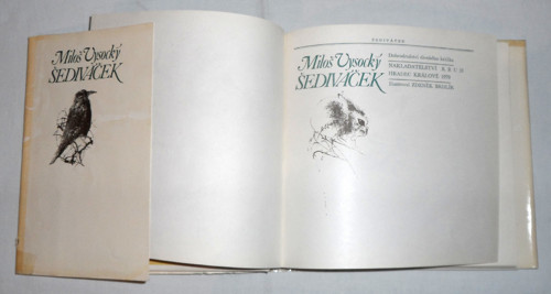 Miloš Vysocký: ŠEDIVÁČEK, 1979 — foto 2