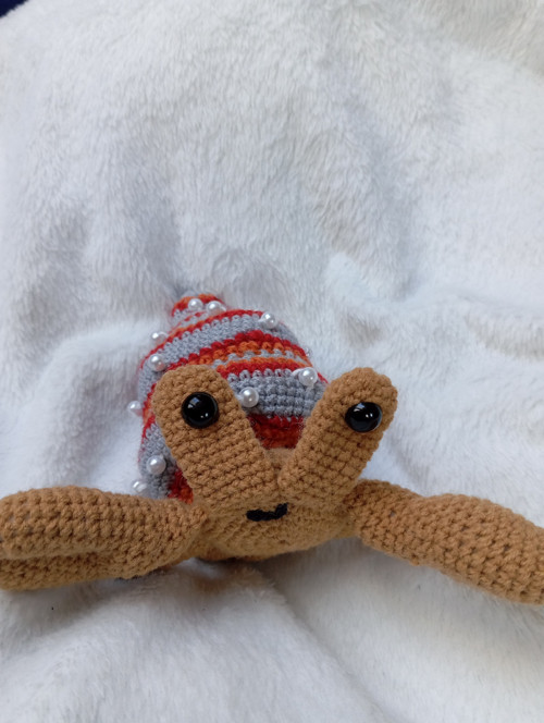 Krab poustevník Drahoslav — foto 3
