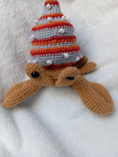Krab poustevník Drahoslav — foto 4