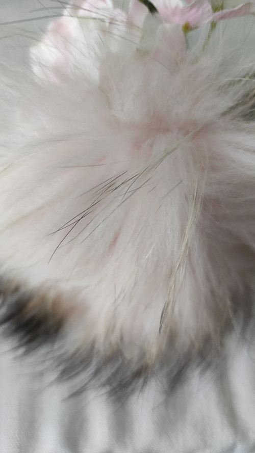 Bohémská elegantní brož. — foto 2