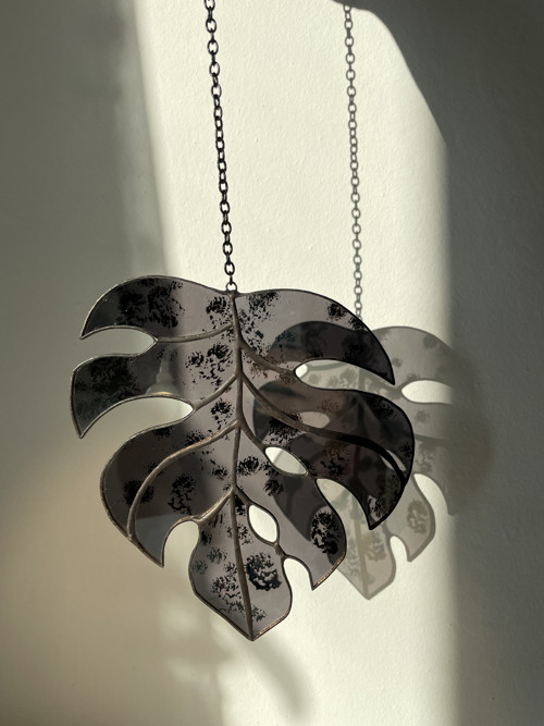 Monstera — foto 2