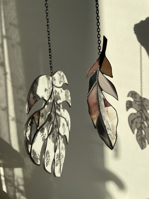 Monstera — foto 5