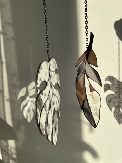 Monstera — foto 6