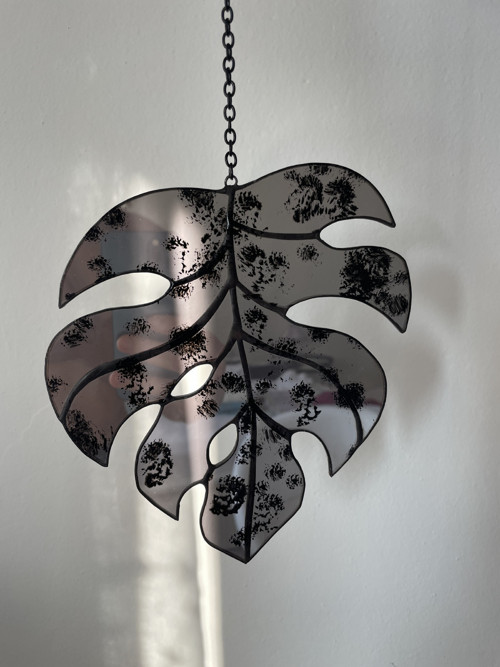 Monstera — foto 4