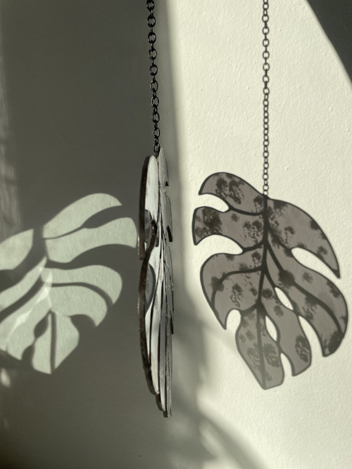 Monstera — foto 3