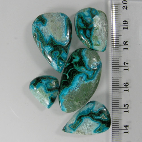Chrysokol-Malachit, 63,44ct./5ks., 16-31mm — foto 3