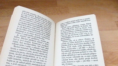 Dobře utajené housle — foto 3