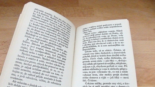 Dobře utajené housle — foto 4