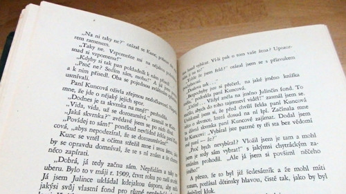 Dukátek v blátě — foto 3