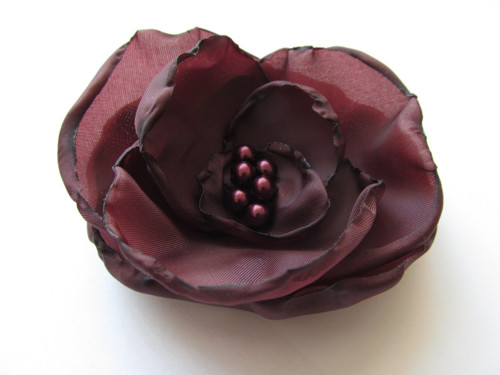 Black Forest Rose®..Kolekce Odrůdy růží... — foto 2
